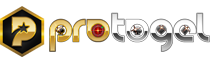 Logo PROTOGEL
